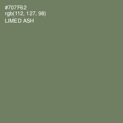 #707F62 - Limed Ash Color Image